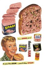 SPAM DANDY.jpeg