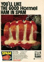SPAM ITALIANO.jpeg