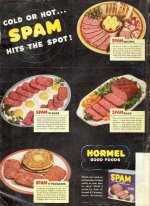 SPAM SPOT.jpeg