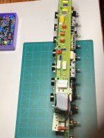 IMG_4696.jpeg