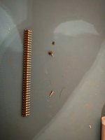 IMG_4832.jpeg