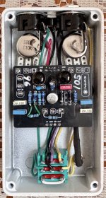 Overcast_Fuzz_Gutshot_01.jpg