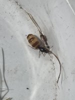 IMG_2678.jpeg