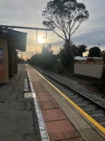 IMG_5598.jpeg
