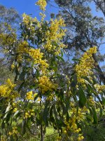 IMG_6212.jpeg