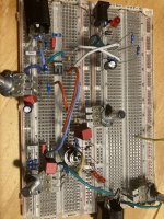 IMG_2411.jpeg