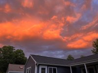 IMG_7109.jpg