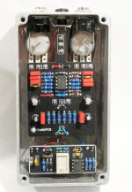 MornGlory-06.jpg