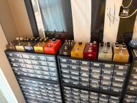 IMG_2254.jpeg