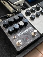 Troglodyte Reverb Build Example 4.jpg
