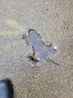 Original_Photo_of_the_Chicago_Rat_Hole_from_WinslowDumaine_Tweet.jpg