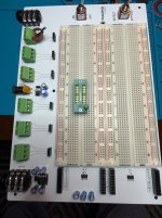 IMG_0529.jpeg