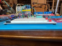 IMG_0542.jpeg