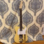 Yellowcaster.jpg