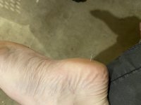 9D467976-C163-47B5-8A80-7F4369272C17.jpeg