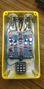 Nobleman gut shot.jpg