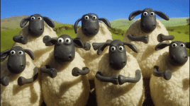 shaun the sheep clapping.gif
