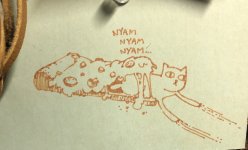 D08B7E85-CCC7-40DB-A85C-C569AFE2D711.jpeg