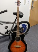 bass1.jpg