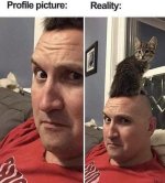 Profile.jpg