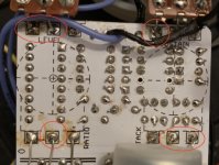 sea lion bottom under pots.jpeg