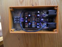 Fuzzy Fox_Interior_reduced.jpg