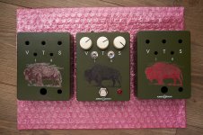 3 buffaloes.jpg