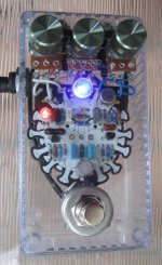 Quarantine Fuzz - front 02.jpg