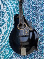 1906 gibson f2.jpg