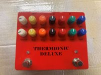 T Deluxe.jpg
