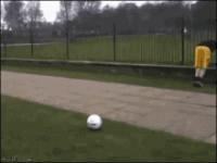 EAAD4DAE-C753-47E5-8C29-65591AD17D9D.gif
