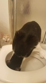 FB_IMG_1638637396181.jpg