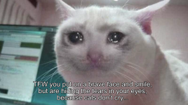 CryingCat.png