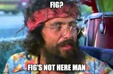 fig.jpg
