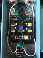 IMG_2503 (Large).jpg