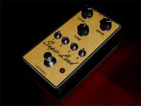 XS Drive Mockup Pedal.jpg