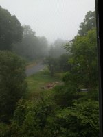 signal-2022-07-18-12-06-07-573.jpg