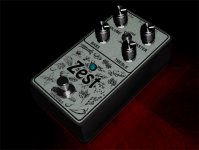 Zest  Mockup Pedal.jpg