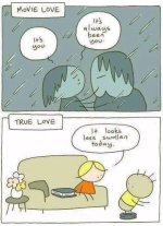 true love.jpg