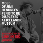 hendrix.jpeg