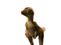 1668445082328.png