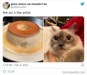 Flan Kitteh.jpg
