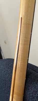 IMG_3950.JPG