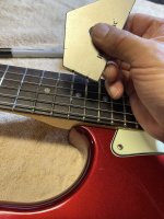 IMG_3966.JPG