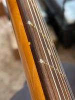 93ED35D2-299E-453B-BFB9-167E0010DB5A.jpeg