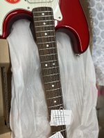 IMG_0503.JPEG
