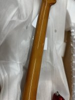 IMG_0505.JPEG