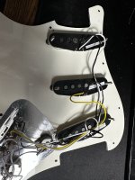 IMG_0506.JPEG