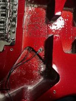 IMG_0512.JPEG