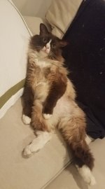 Beaker 2.jpg
